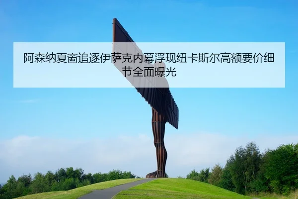 阿森纳夏窗追逐伊萨克内幕浮现纽卡斯尔高额要价细节全面曝光