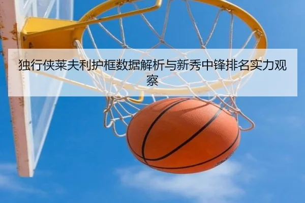 独行侠莱夫利护框数据解析与新秀中锋排名实力观察
